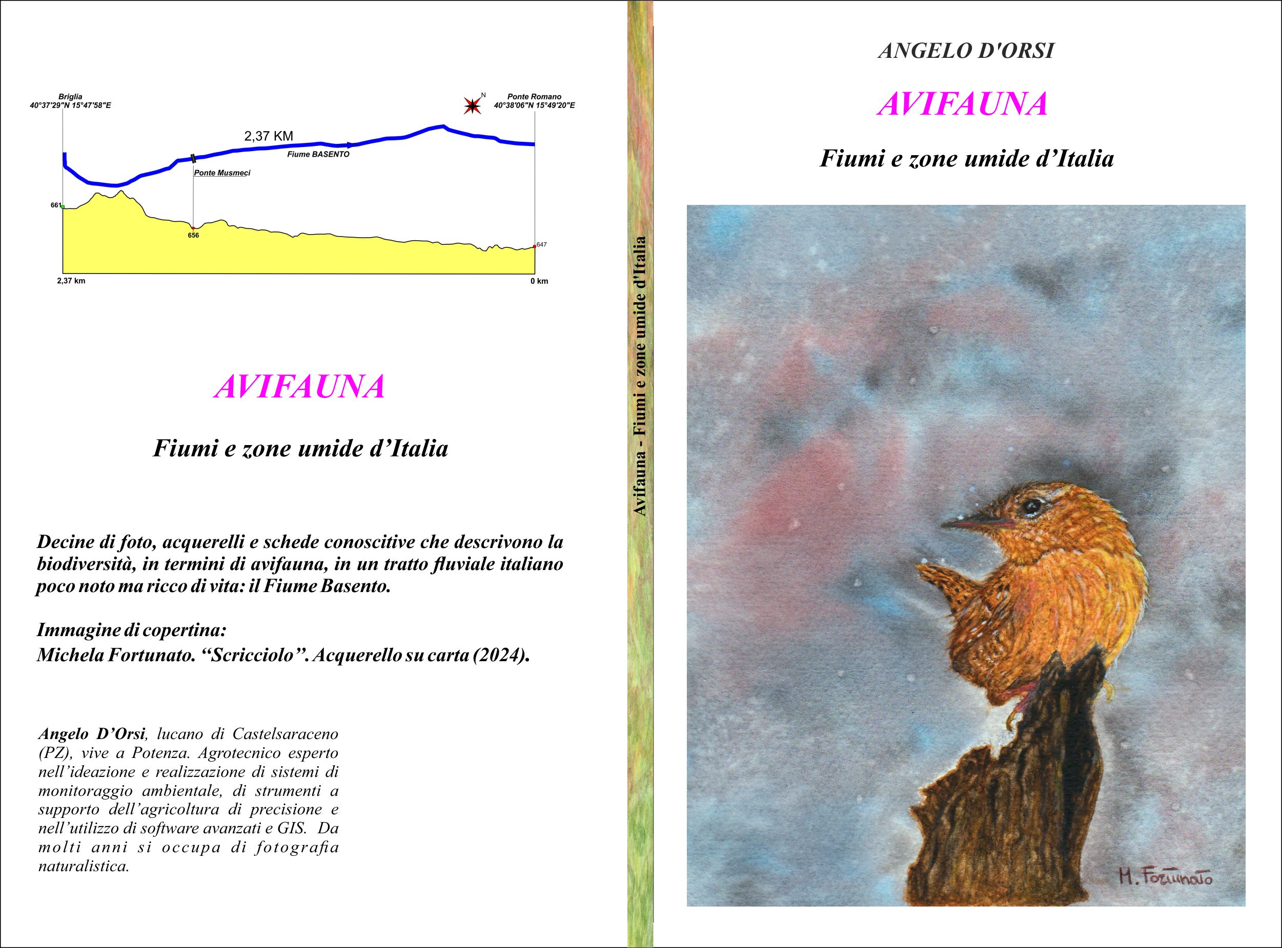 AVIFAUNA_Fiumi_Copertina.jpg